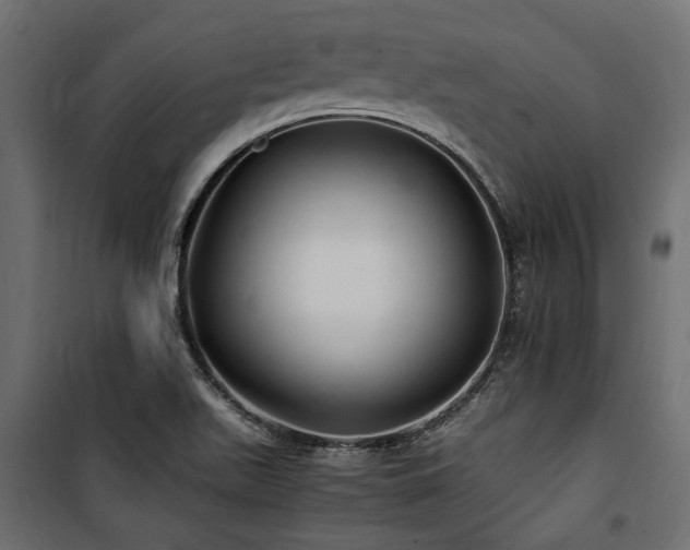 X0000100861511200806201204