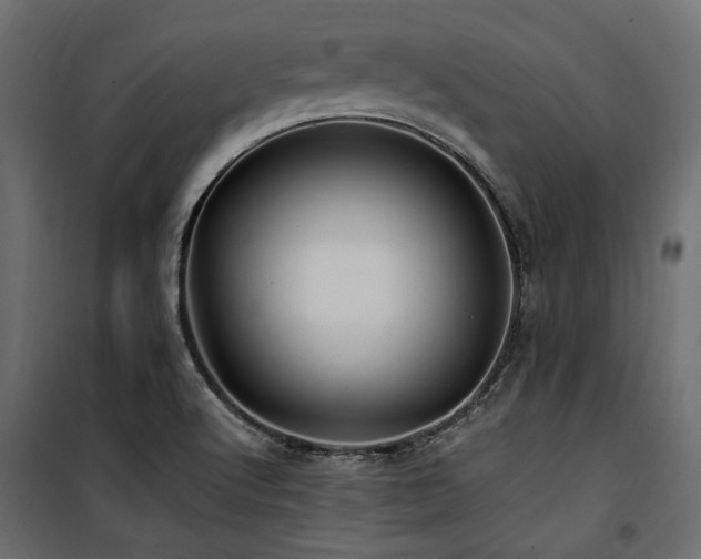 X0000100861512200806201204