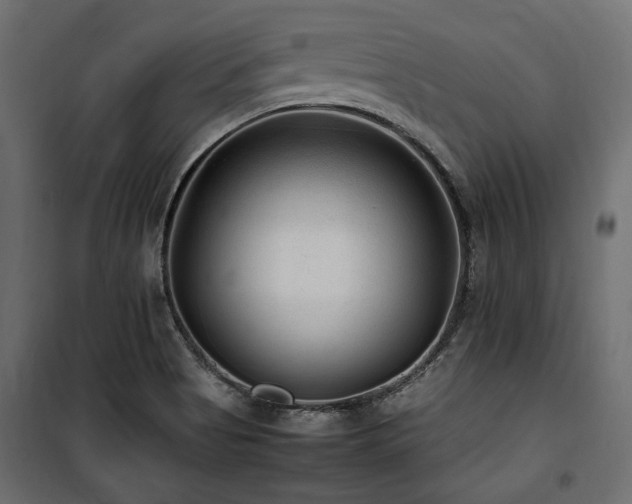 X0000100861513200806201204