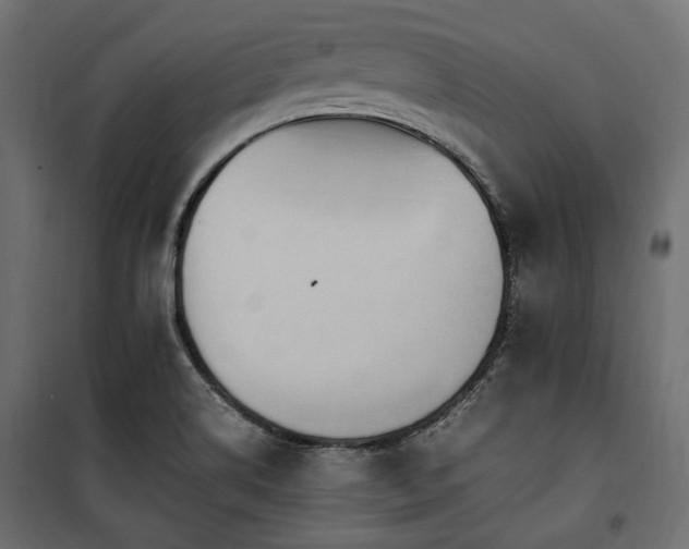 X0000100861514200806201204