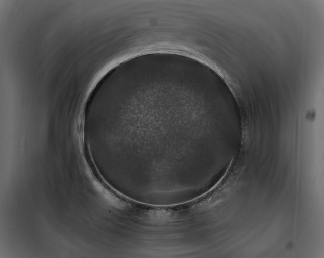 X0000100861515200806201204