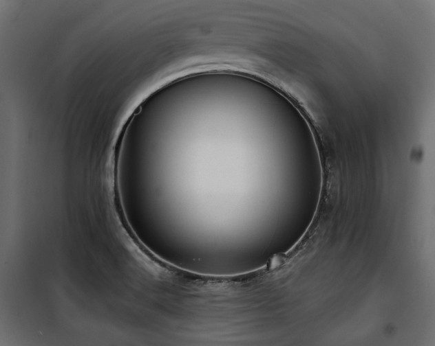 X0000100861516200806201204