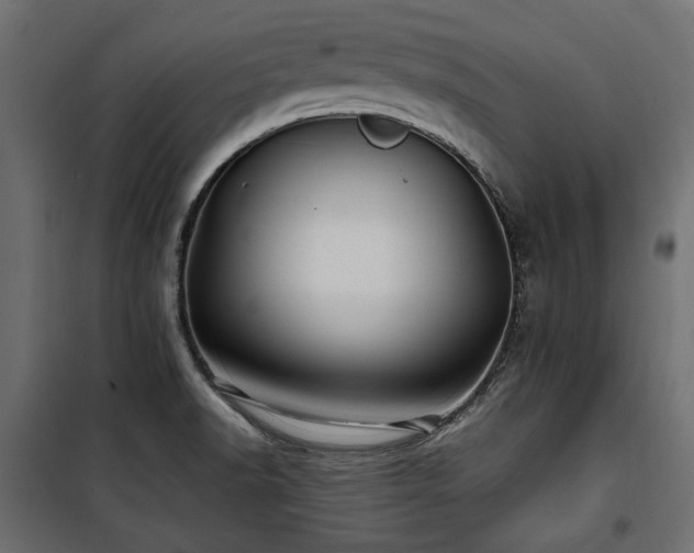 X0000100861518200806201204