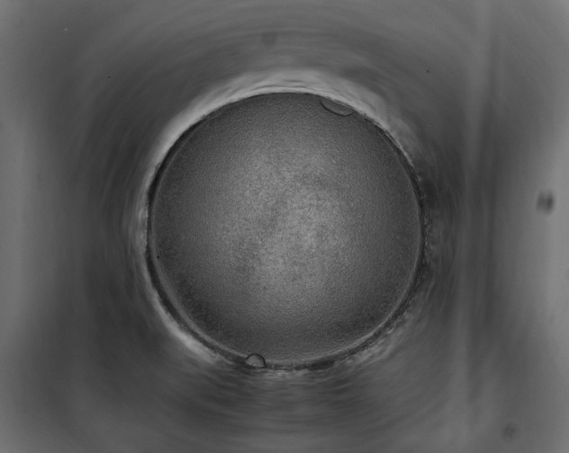 X0000100861519200806201204