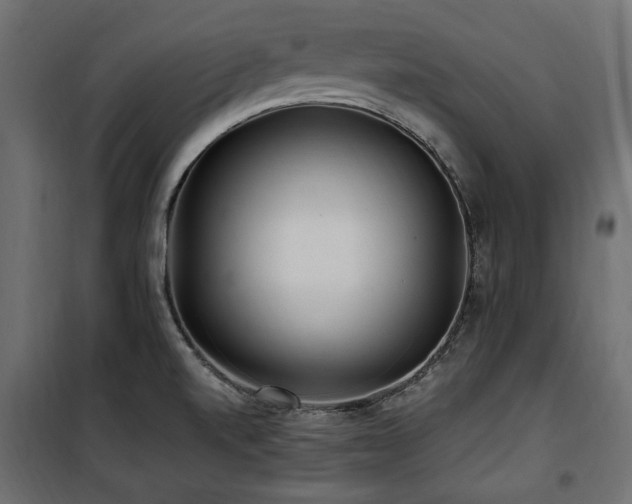 X0000100861520200806201204