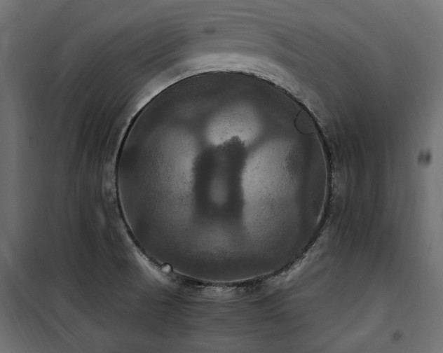 X0000100861521200806201204