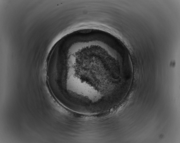 X0000100861522200806201204