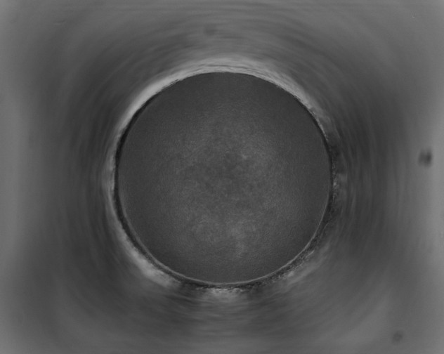 X0000100861523200806201204