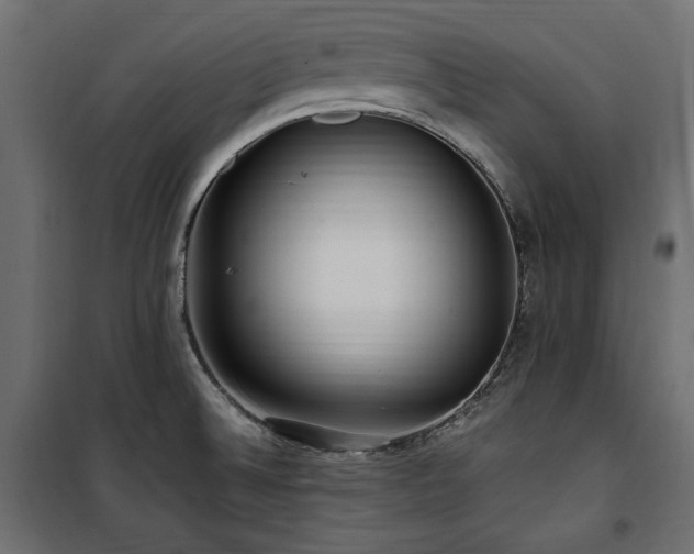 X0000100861524200806201205