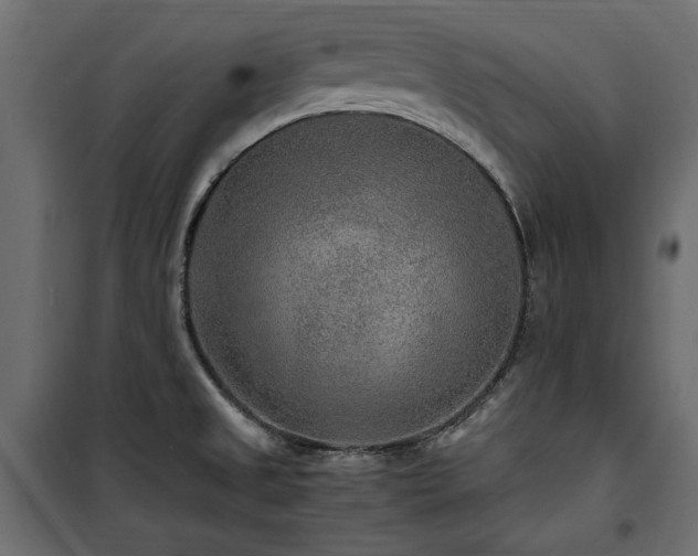 X0000100861525200806201205