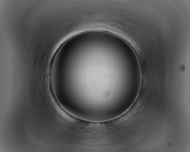 X0000100861526200806201205