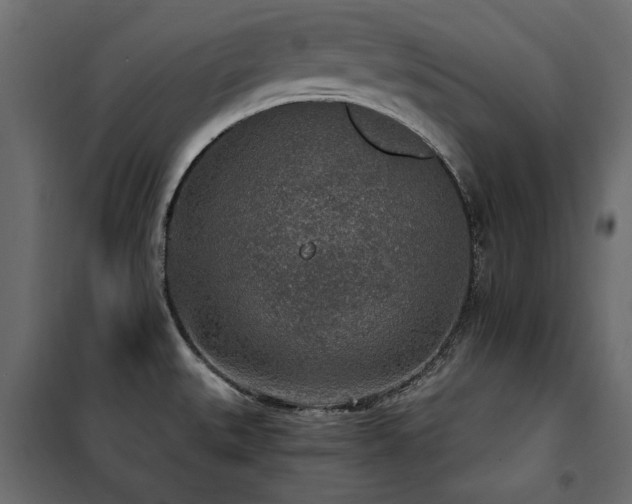 X0000100861527200806201205