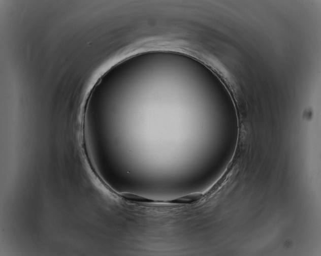 X0000100861528200806201205