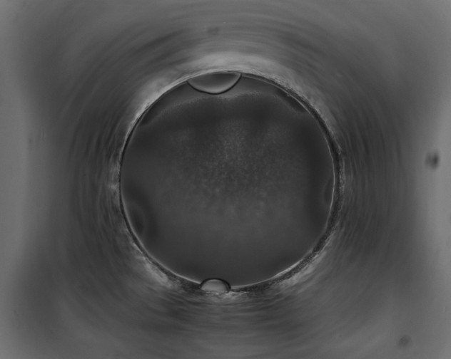 X0000100861529200806201205