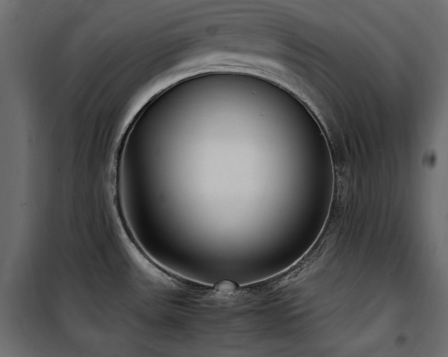 X0000100861531200806201205