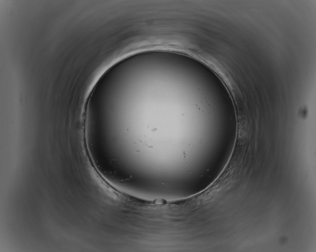 X0000100861532200806201205