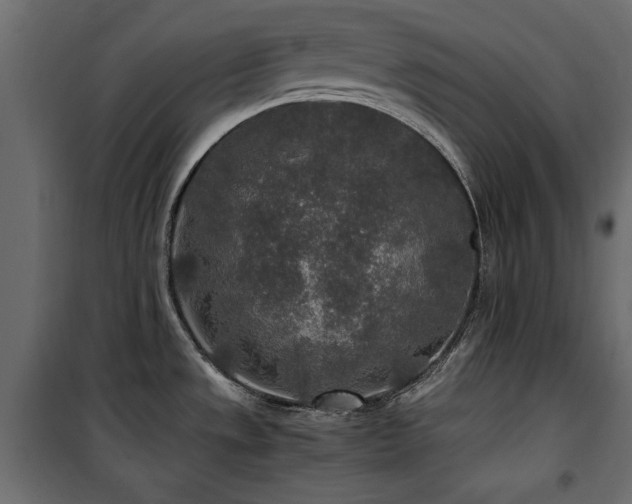 X0000100861533200806201205