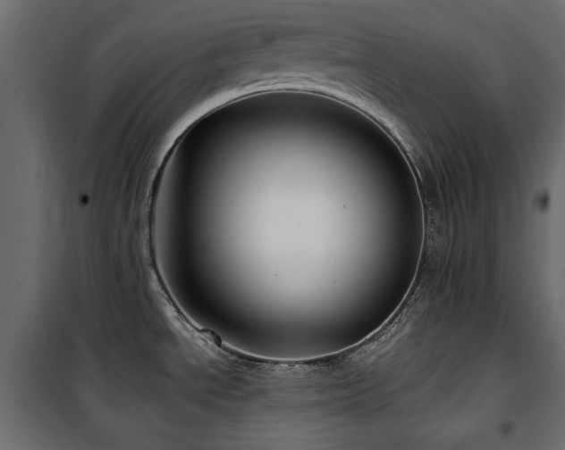 X0000100861534200806201205