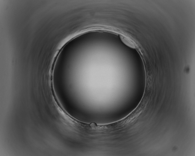 X0000100861535200806201205