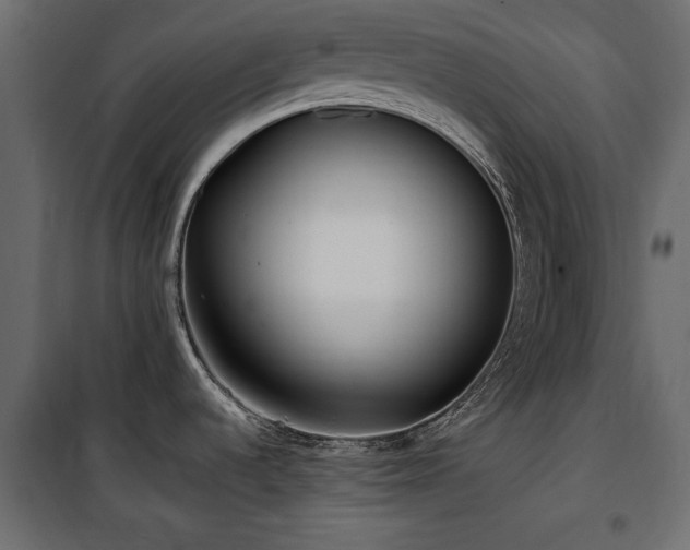 X0000100861536200806201205