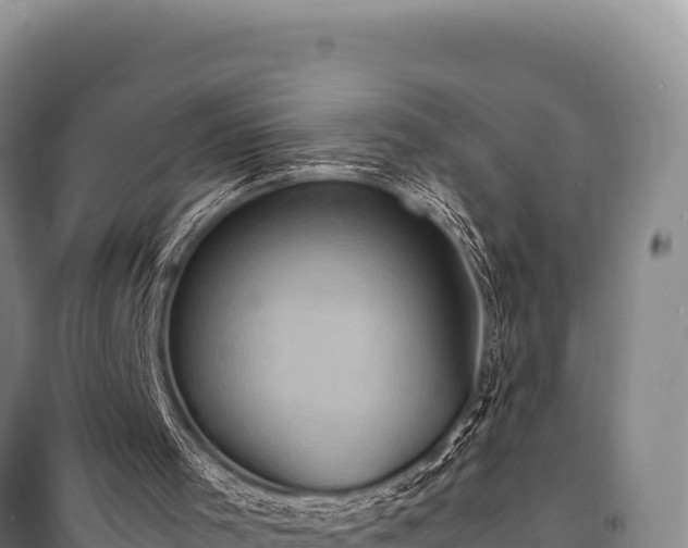 X0000100860001200806271210