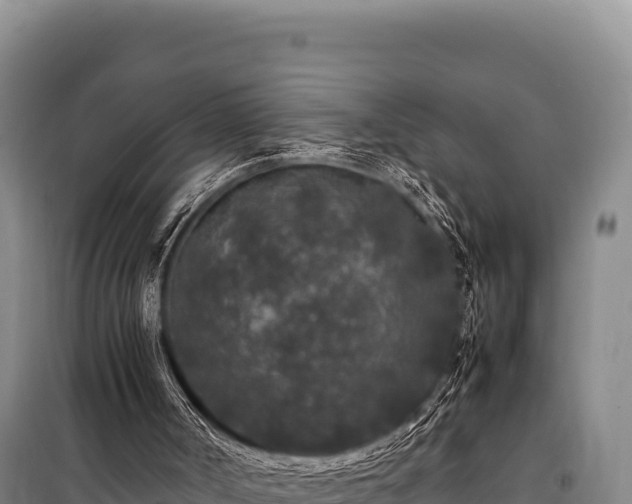 X0000100860002200806271210