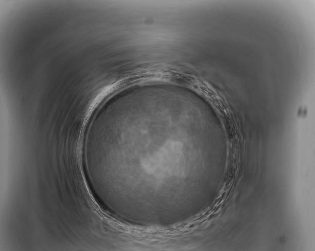 X0000100860003200806271210