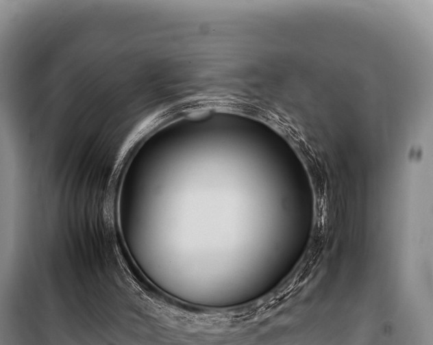 X0000100860004200806271210