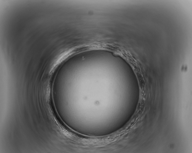 X0000100860005200806271210