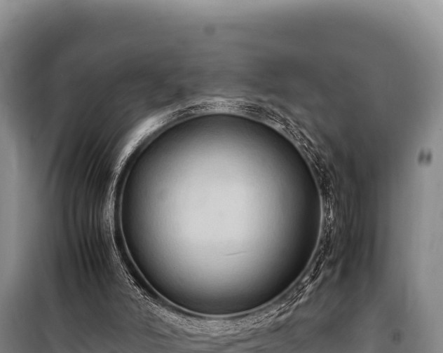 X0000100860006200806271210