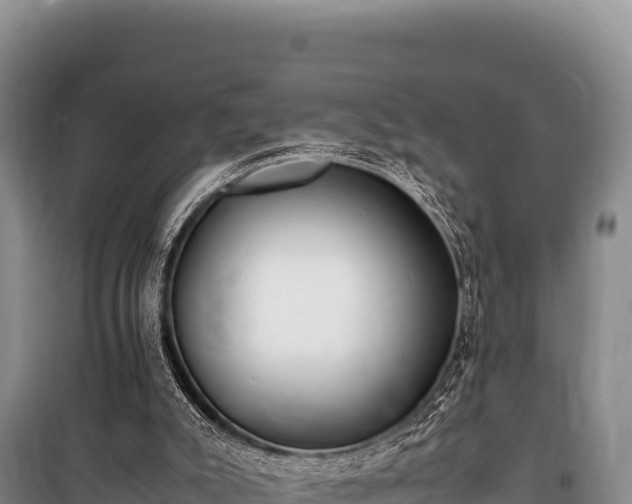 X0000100860007200806271210