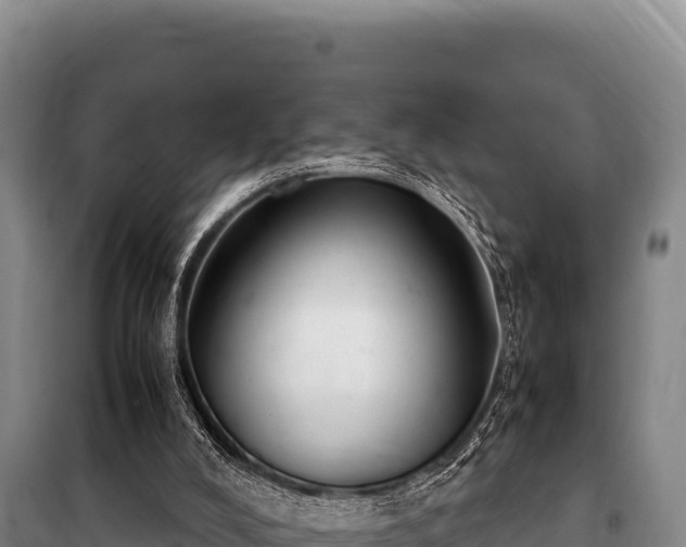 X0000100860008200806271210