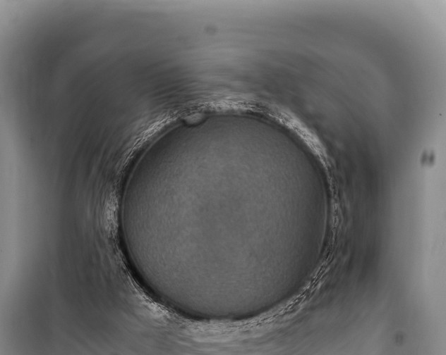 X0000100860009200806271210