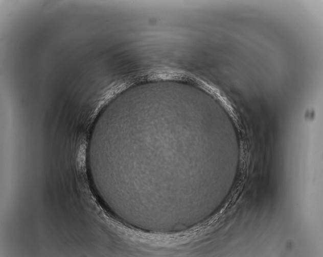 X0000100860010200806271210