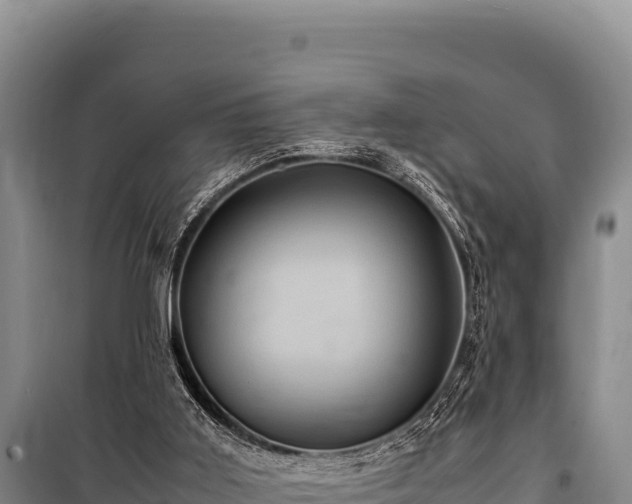 X0000100860011200806271210