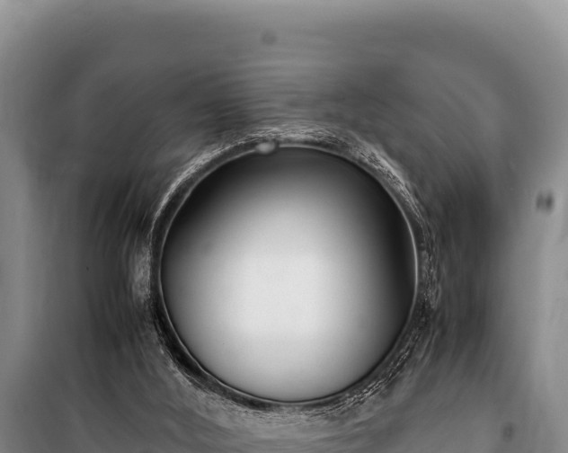 X0000100860012200806271210