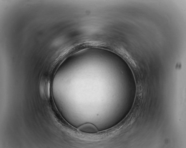 X0000100860014200806271210