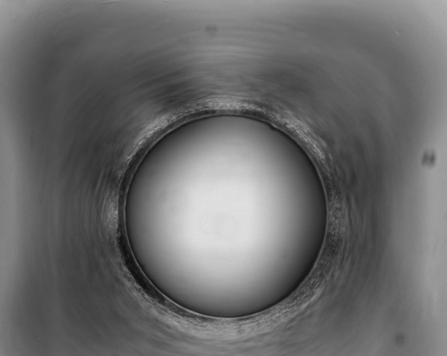 X0000100860015200806271210