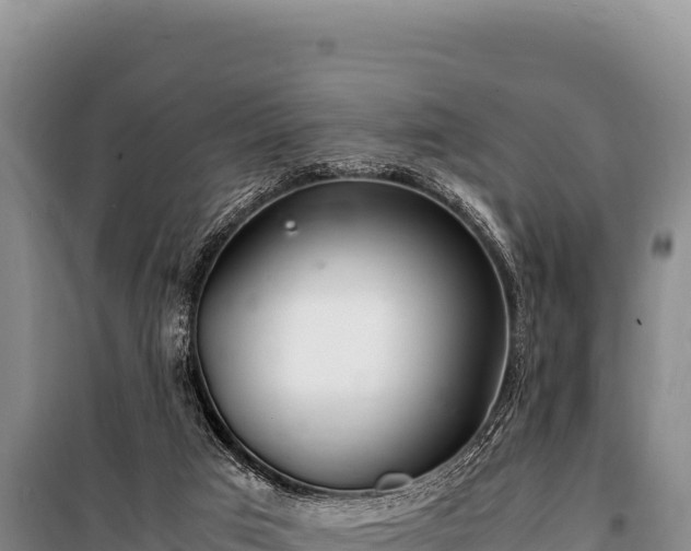 X0000100860017200806271210