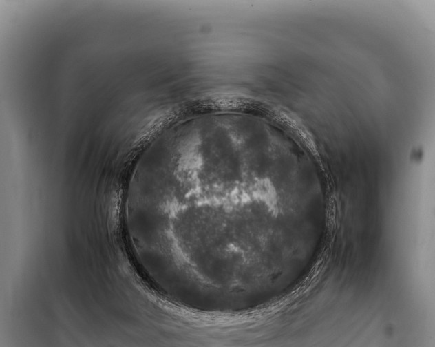 X0000100860018200806271210