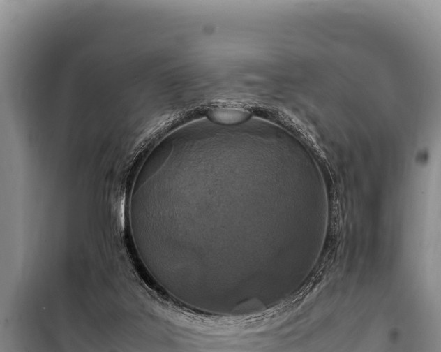 X0000100860019200806271210