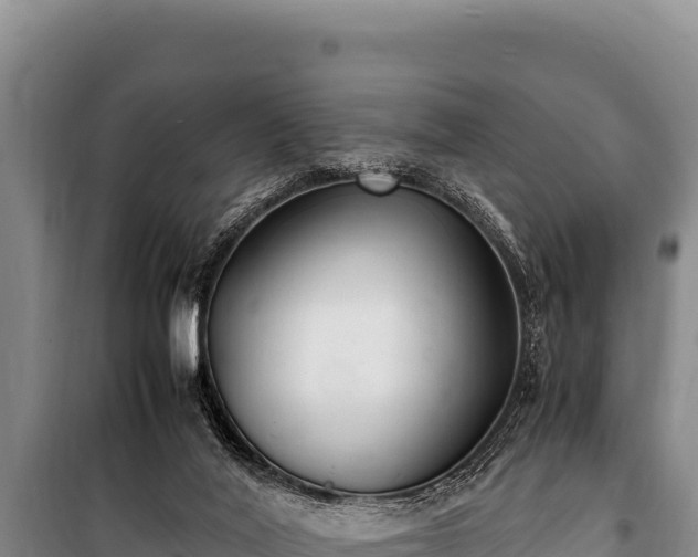 X0000100860020200806271210