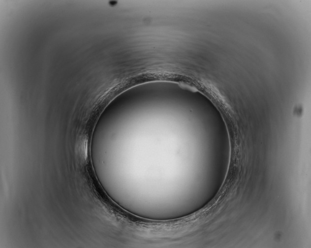 X0000100860021200806271210