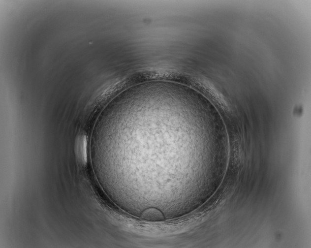 X0000100860022200806271210