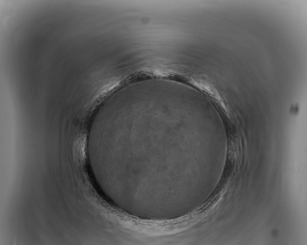 X0000100860023200806271210