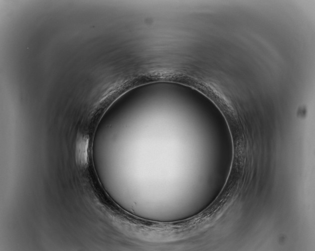 X0000100860024200806271210