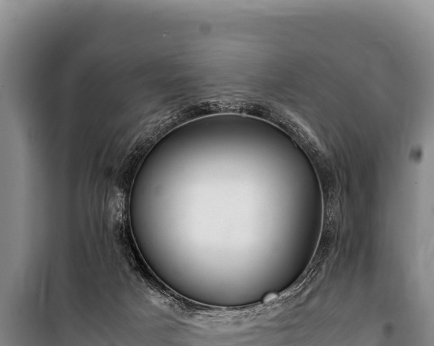 X0000100860025200806271210