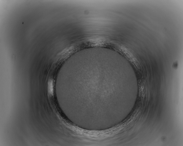 X0000100860026200806271210