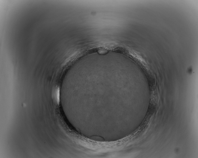 X0000100860027200806271210