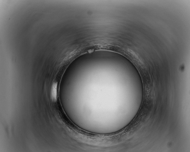 X0000100860028200806271210